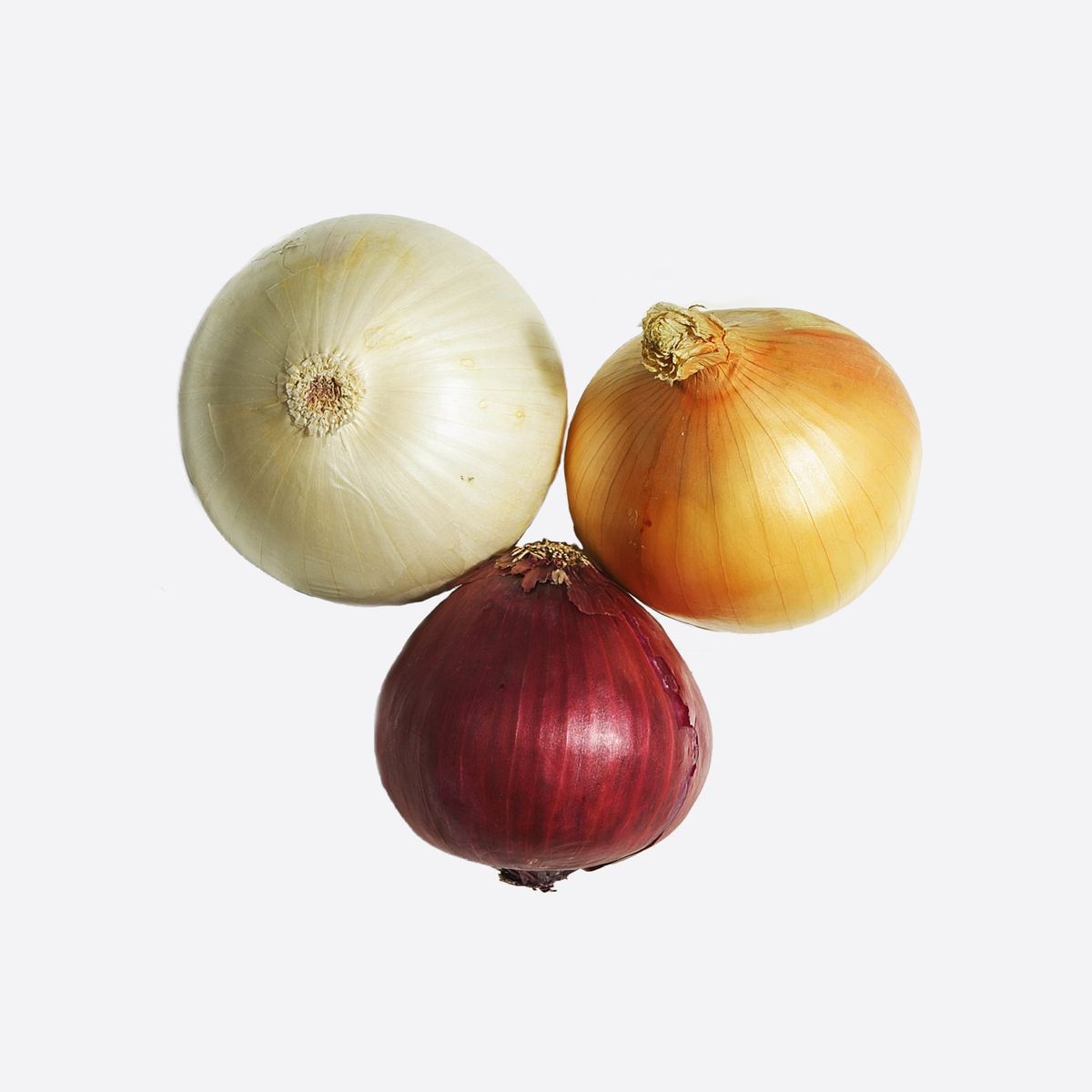 Egyptian Onion
