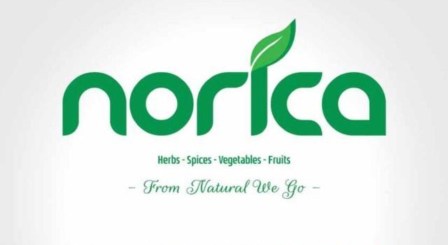 What is Norica Food?